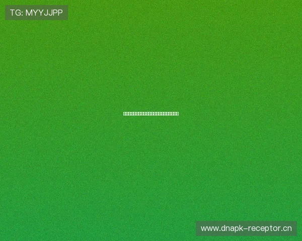 雨燕直播全新体验平台打造互动娱乐与社交新潮流